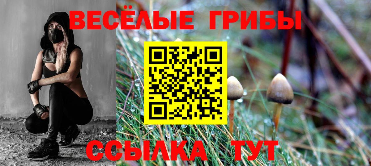 Псилоцибиновые грибы Cubensis  Галлюциногенные грибы Cubensis  Вход с VPN  Анапа 